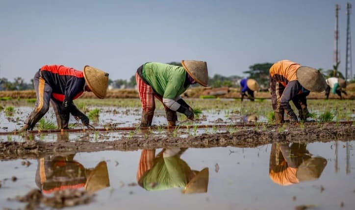 Hari Tani Nasional Jadi Momentum Memperkuat Kedaulatan Petani dari Lahan hingga Harga Panen
