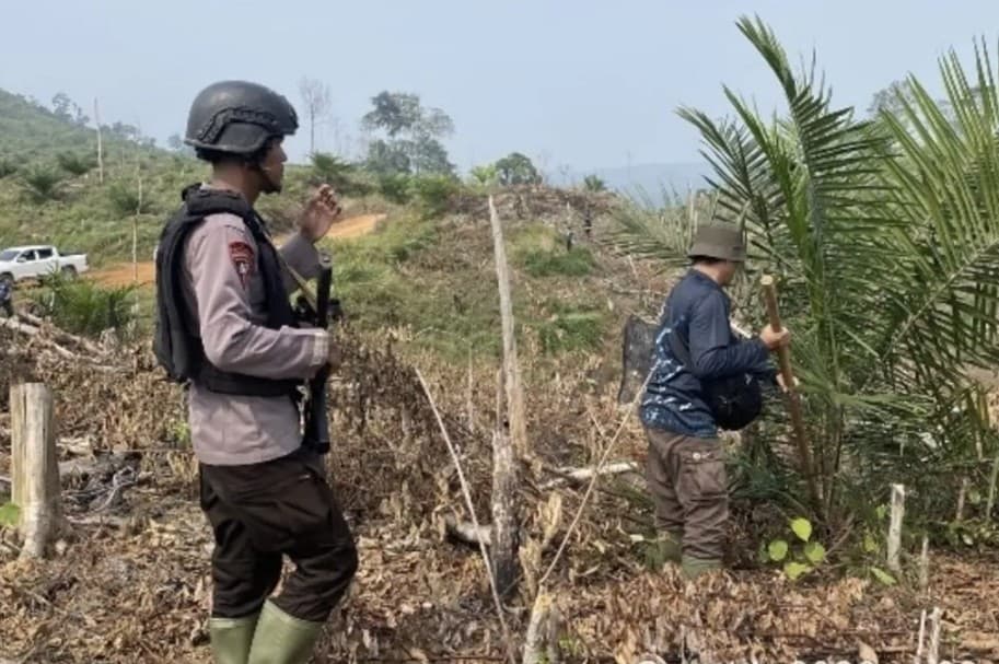 Kemenhut Kuasai Kembali 300 Hektare Hutan Teramang, Ranjau Ditemukan di Jalur Gajah Sumatera