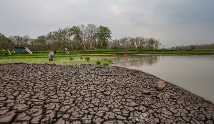 ADB Sebut Eskalasi Konflik dan El Nino Mengancam Perekonomian Asia-Pasifik