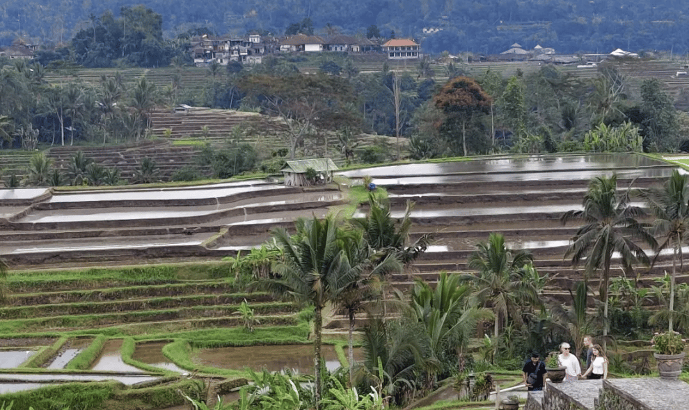 Penerimaan Pajak Bali Tembus Rp11,2 Triliun, Perluasan Basis Pajak Jadi Strategi DJP