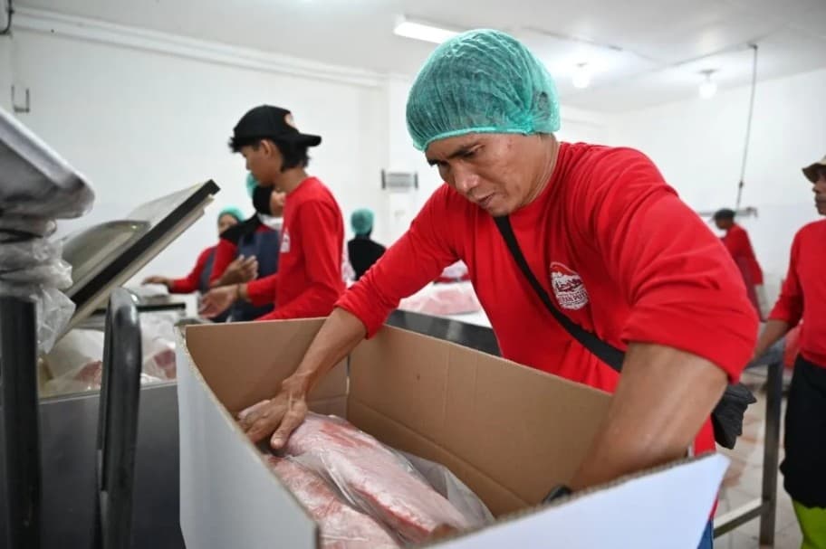 Kampung Nelayan Merah Putih Sinjai Kirim 77 Ton Tuna Loin ke Jakarta, Harga di Nelayan Naik