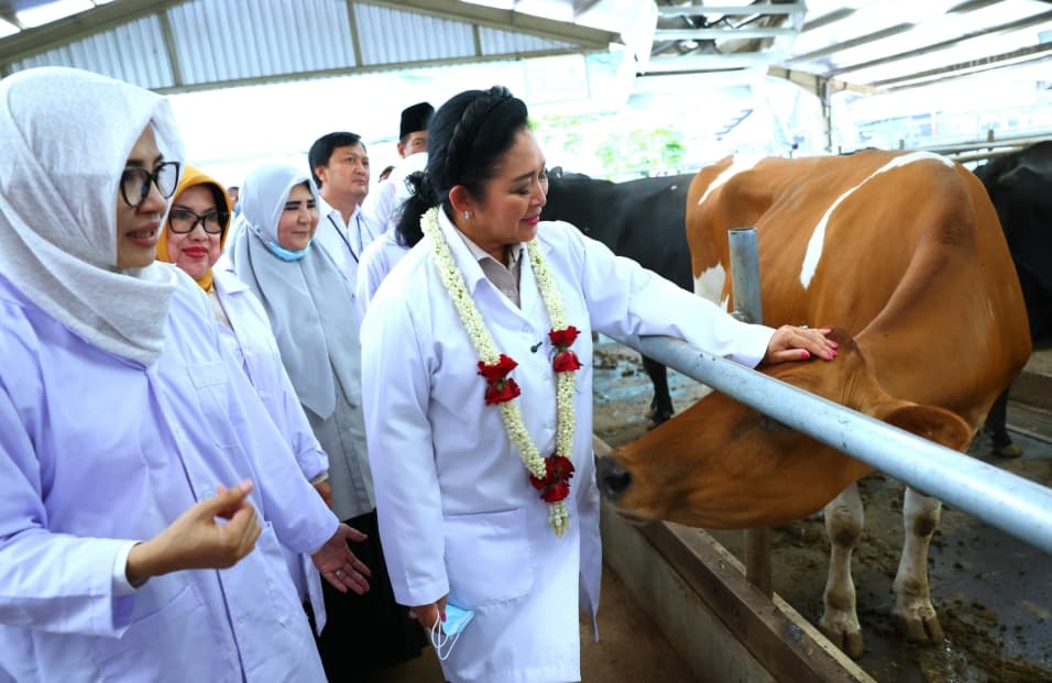 Produksi Susu Dalam Negeri Baru 20 Persen, Titiek Soeharto Dorong Penguatan Ekosistem Peternakan