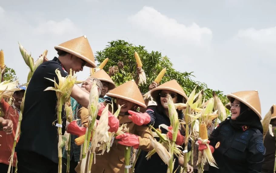 Lima Desa Binaan Imigrasi di Gunungkidul Panen 17,25 Ton Jagung untuk Dukung Ketahanan Pangan
