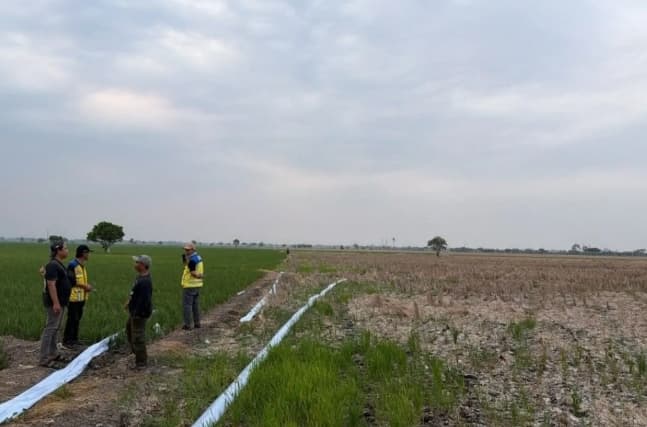 Kementerian PU Operasikan Tiga Pompa untuk Atasi Kekeringan 600 Hektare Sawah di Bekasi