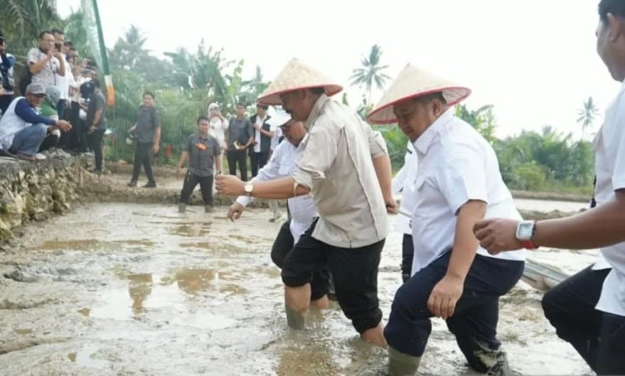 Kementan Terapkan Pertanian Modern PM-AAS, Produktivitas Padi Ditargetkan Tembus 10 Ton per Hektare