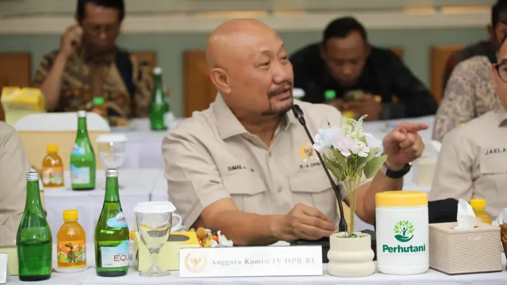 Sumail Abdullah Desak Pemerintah Lacak Tren Hotspot Api Tekan Karhutla Berulang