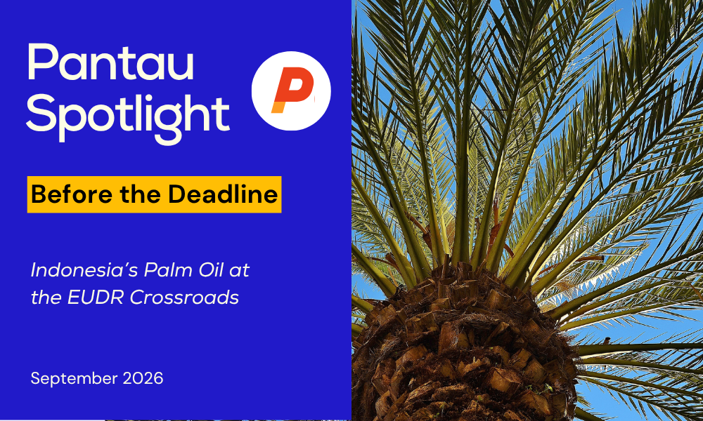 Before the Deadline: Indonesia’s Palm Oil at the EUDR Crossroads