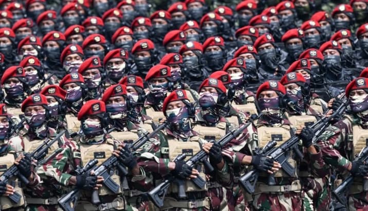 TNI Menuju Usia Satu Abad, Interoperabilitas Alutsista Jadi Sorotan Hadapi Perubahan Ancaman