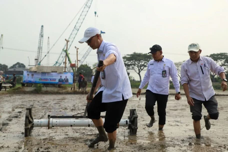 DKPP Serang Menerapkan Pertanian Modern di Lahan 500 Hektare untuk Genjot Produksi Padi