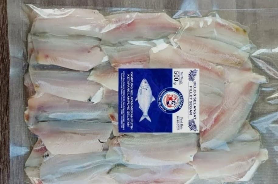 KNMP Ketapang Mendorong Hilirisasi Ikan Belo dan Selangat, Harga Fillet Tembus Rp14.000 per Kilogram