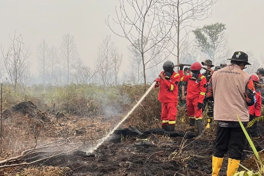 BPBD Kalbar Fokus Padamkan Karhutla di Ketapang dan Kayong Utara karena Titik Api Masih Ditemukan
