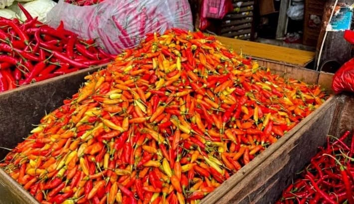 PIHPS Catat Harga Cabai Rawit Merah Tembus Rp100.700 per Kilogram, Telur Ayam Rp29.900