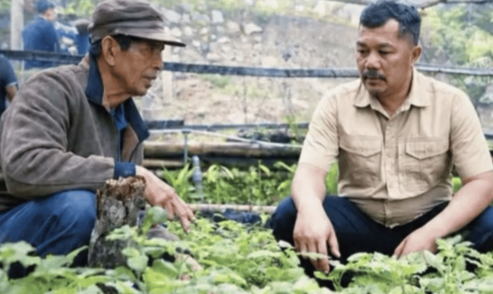 Kerinci Dorong Nilam Jadi Komoditas Unggulan dan Pilar Ekonomi Baru Masyarakat