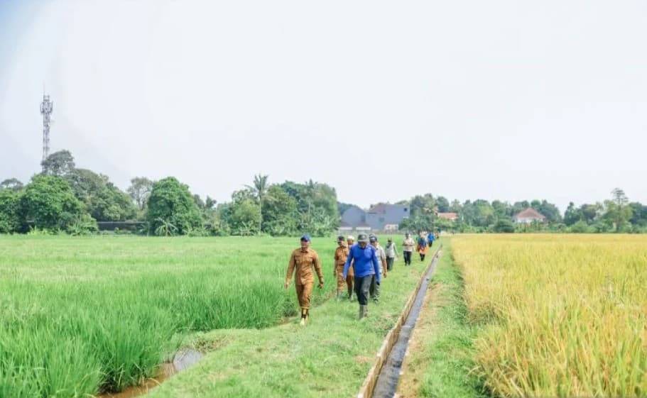 Pemkot Bogor Berupaya Pertahankan 58 Hektare Lahan Pertanian agar Tak Tergerus Pembangunan