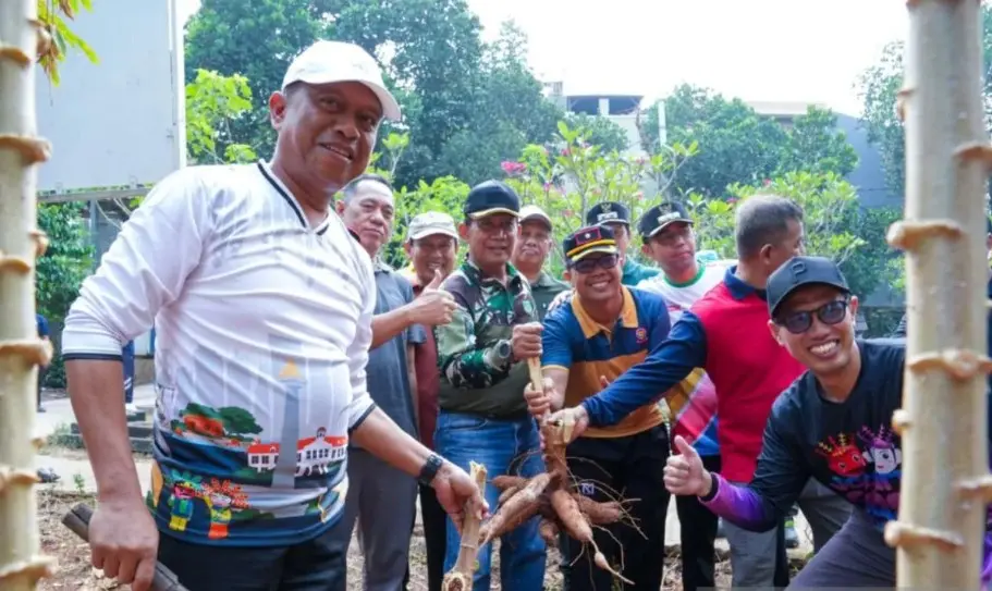KPKP Jakarta Timur Dorong Warga Tanam Singkong untuk Perkuat Ketahanan Pangan Keluarga