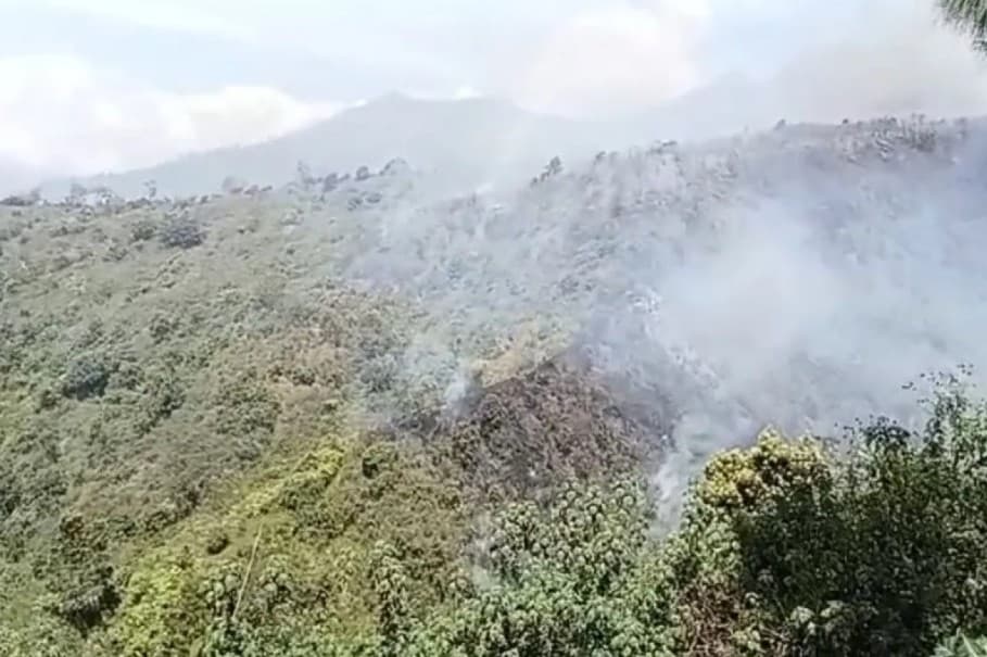 Karhutla Melanda Lereng Gunung Bromo di Lumajang, Medan Terjal Hambat Pemadaman Api
