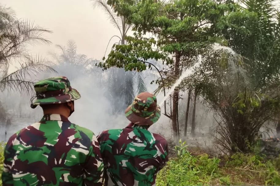 TNI AU Kerahkan Personel Bantu Padamkan Karhutla di Talang Jambe Palembang