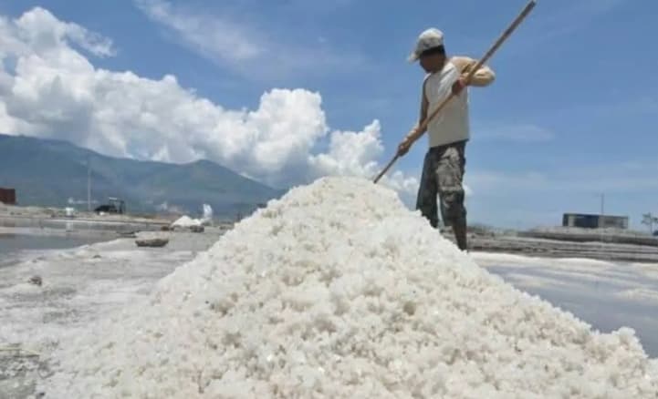 Produksi Garam Bima Tembus 119 Ribu Ton, Pemkab Dorong Hilirisasi untuk Tingkatkan Harga dan Kesejahteraan Petani