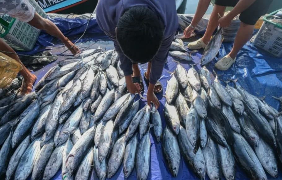 KKP Gandeng BPOM Awasi Mutu dan Keamanan Ikan untuk Program Makan Bergizi Gratis, Libatkan 129 UPT di Seluruh Indonesia