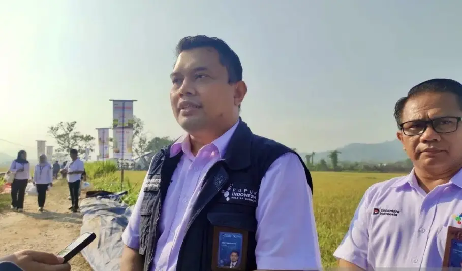 Pupuk Indonesia Siapkan Stok 350 Ribu Ton untuk Sulawesi, Maluku, dan Papua, Harga Pupuk Bersubsidi Turun 20 Persen
