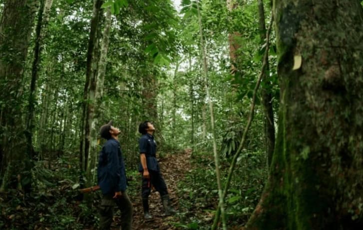 Wamenhut Rohmat Marzuki Dorong Transformasi Ekonomi Kehutanan, Perdagangan Karbon Jadi Peluang Tingkatkan Kesejahteraan Masya