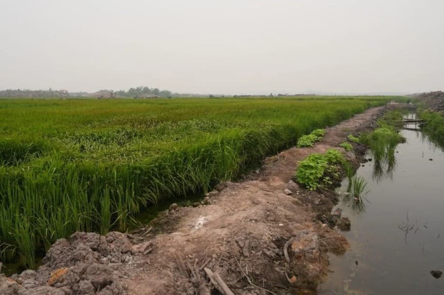 Kementerian PU Siapkan Tujuh Sumur Dalam untuk Pasok Air Pertanian, Pembangunan Saluran Irigasi Capai 133 Kilometer
