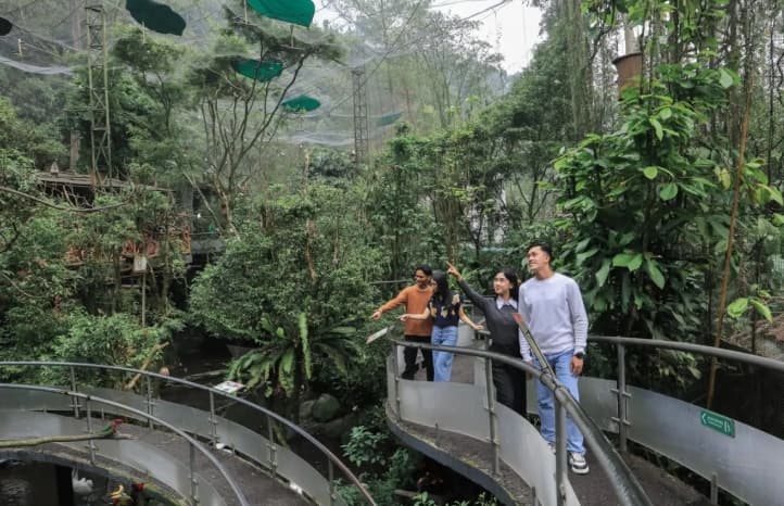 Taman Safari Perpanjang Batas Pengumpulan Karya IAPVC 2026 hingga 12 Oktober, Pemenang Berpeluang Raih Mobil Listrik