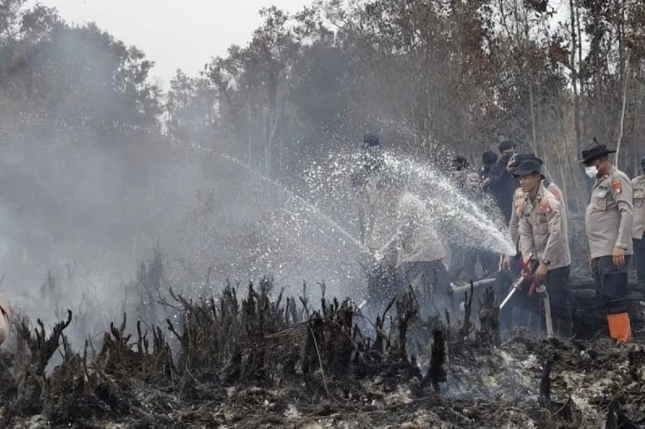 Kebakaran Taman Nasional Tanjung Puting Belum Terkendali, Kemenhut Tambah Personel dan Upayakan Helikopter Pemadam