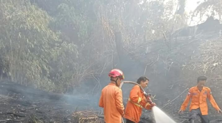 Ketua DPD RI Usulkan Pemerintah Pertimbangkan Bantuan Asing untuk Atasi Karhutla di Sumatera dan Kalimantan