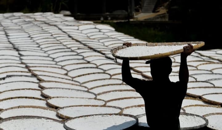 Indonesia dan Kamerun Bangun Pabrik Pengolahan Singkong Senilai Rp269 Miliar, Pemerintah Siapkan Lahan 4.000 Hektare