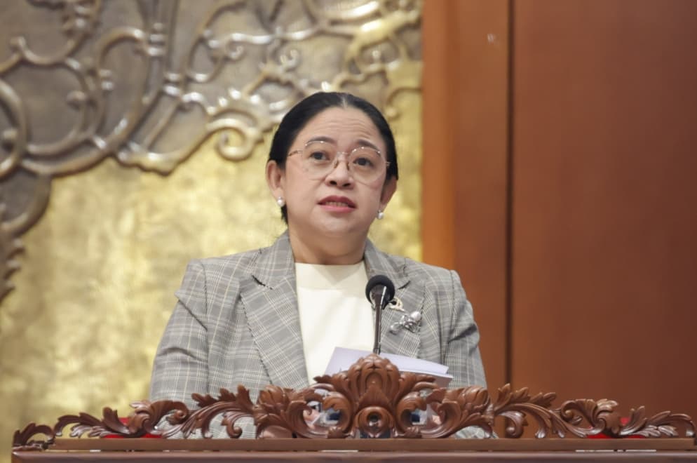 Puan Maharani Minta Pemerintah Jamin Bantuan bagi Warga Terdampak Karhutla