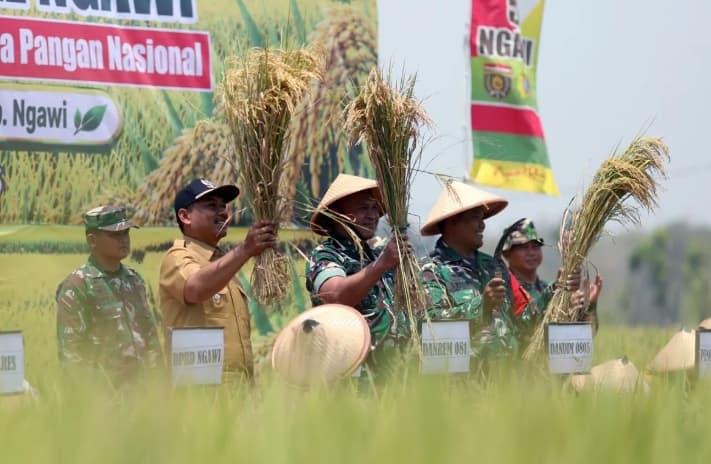 Pemkab Ngawi Percepat Sertifikasi Benih Padi Unggul Lokal, Hasil Panen Tembus 12 Ton per Hektare