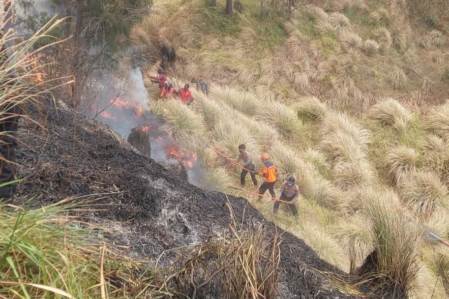 Enam Petugas Terjebak Kebakaran Hutan di Gunung Bromo, Tiga Dikabarkan Tewas dan Satu Luka Bakar Parah