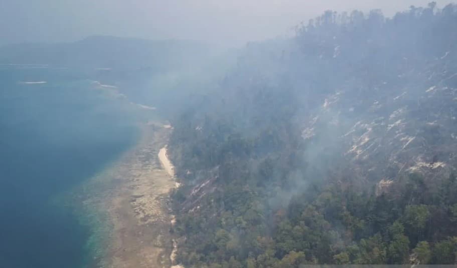 Kebakaran Hutan di Raja Ampat Hanguskan 7,2 Hektare Lahan, Pariwisata Lumpuh dan Warga Krisis Air Bersih