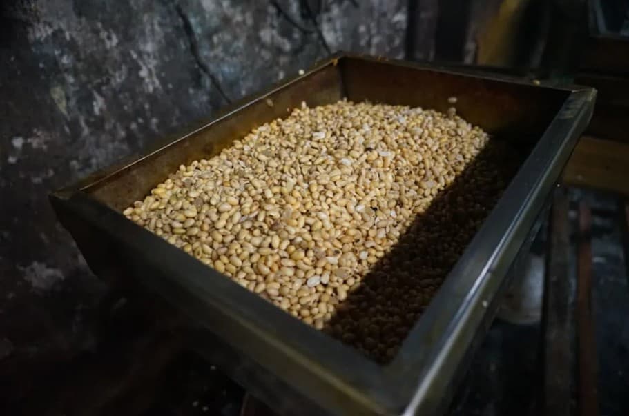 Bapanas Siapkan Rp100 Miliar untuk SPHP Kedelai, Harga Tahu dan Tempe Dijaga Tetap Stabil