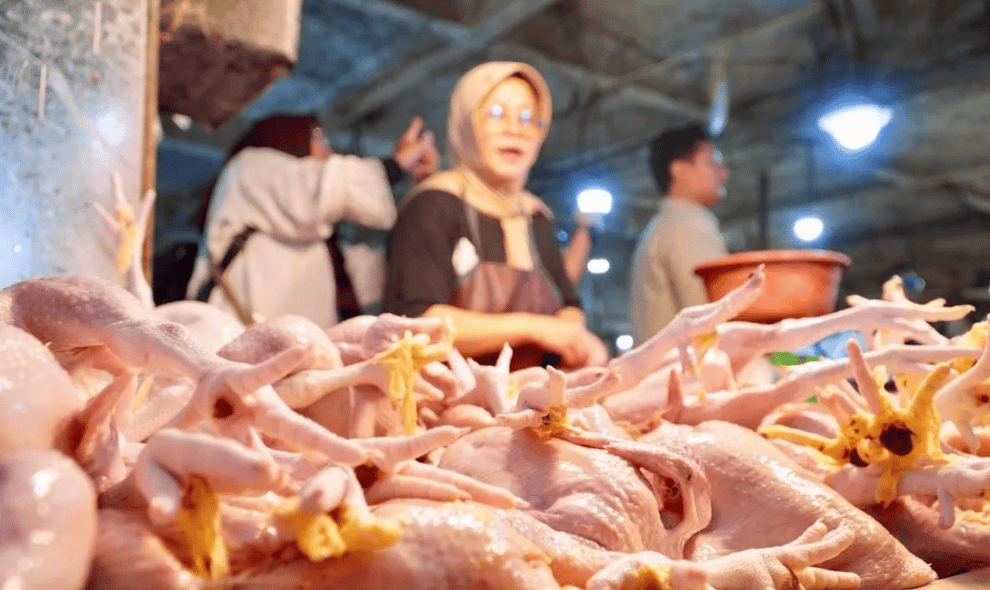 DPR Desak Pemerintah Usut Dugaan Permainan Harga Ayam, Selisih Harga Peternak dan Pasar Capai Rp21.000 per Kilogram