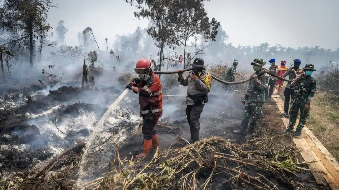 1,43 Juta Siswa Terdampak Asap Karhutla, ASSI Desak Negara Bertindak