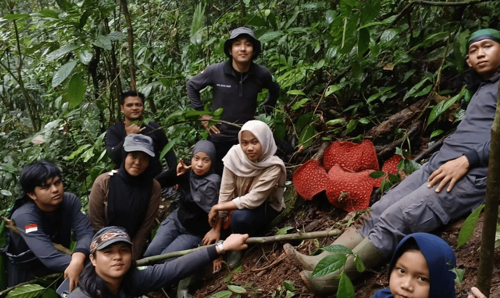 Bunga Langka Rafflesia Tuan-mudae Mekar Sempurna di Cagar Alam Maninjau Agam, Diameternya Capai 87 Sentimeter