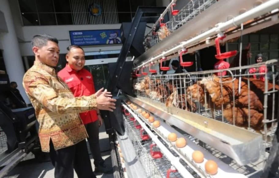 Mahasiswa ITS Ciptakan Futechi Farm, Kandang Ayam Pintar Berbasis AI dan IoT yang Terjual Rp105 Juta