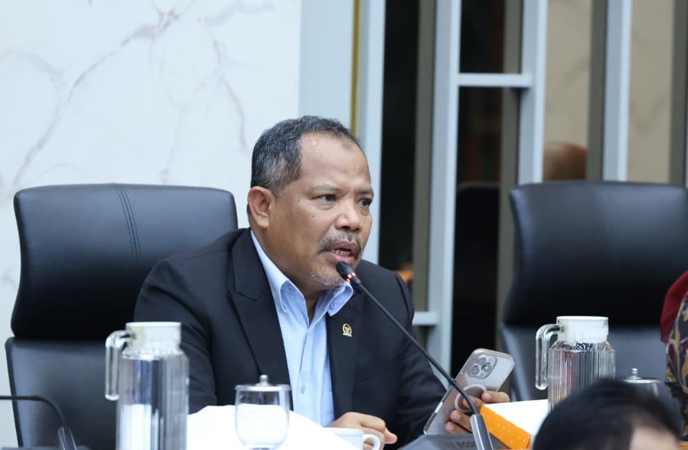 Johan Rosihan Kritik Penanganan Karhutla yang Terus Berulang, Desak Pemerintah Evaluasi Kinerja dan Perkuat Pencegahan