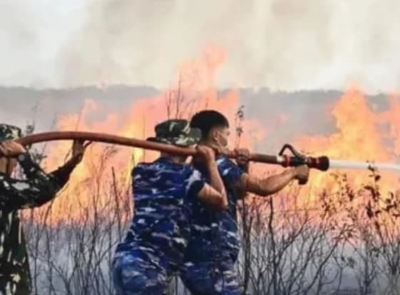 TNI AU Kerahkan Tim Pemadam ke Kebakaran Hutan Belitung Timur, Api Berhasil Dicegah Meluas ke Permukiman Warga