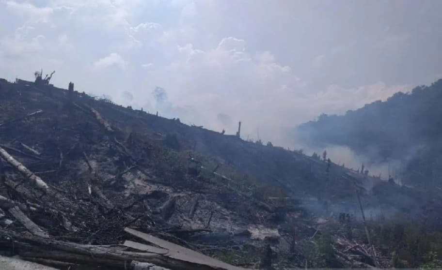 Kebakaran Hutan di Sigi Hanguskan 60 Hektare, BNPB Ungkap Dugaan Penyebab dan Kendala Pemadaman