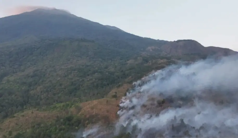 Kebakaran Lereng Gunung Ciremai Meluas hingga Puluhan Hektare, Tim Gabungan Dikerahkan Padamkan Api