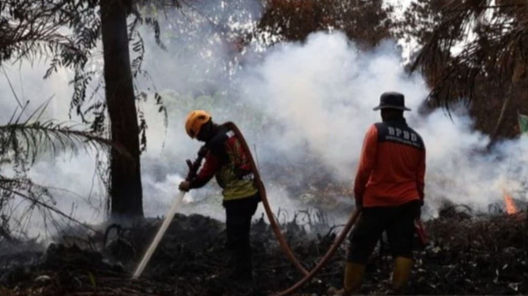 EN-LMND Puji Gotong Royong Karang Taruna Tangani Karhutla, Ingatkan Tanggung Jawab Menteri Kehutanan