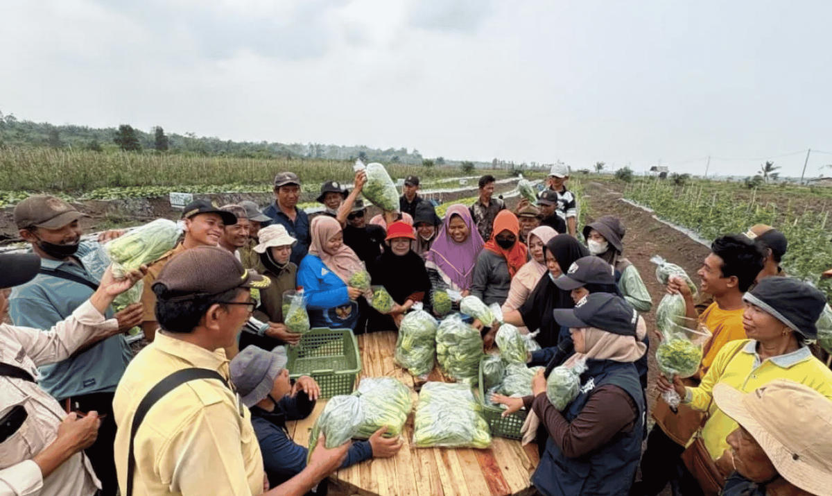 Menteri Transmigrasi Dorong Usaha Berorientasi Pasar, Petani Bangka Selatan Jajaki Pasokan Sayuran untuk Program Makan Bergiz