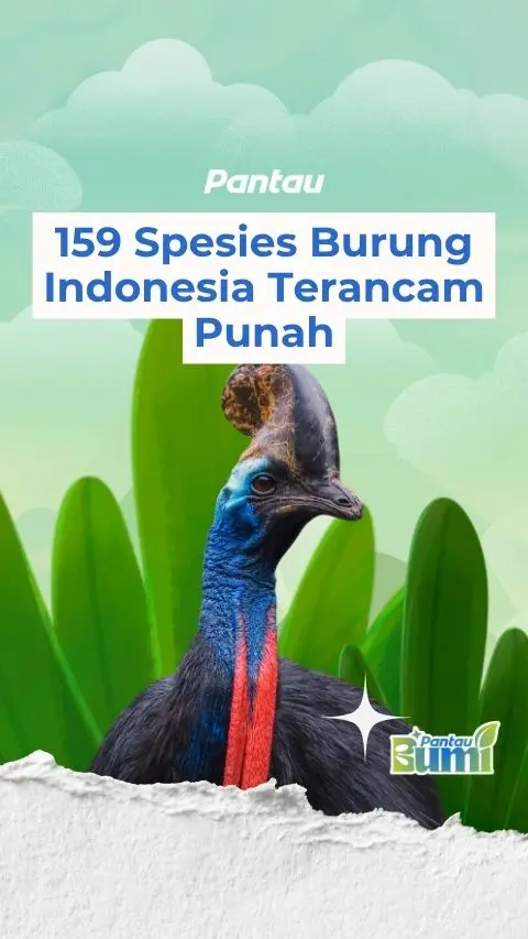 159 SPESIER BURUNG INDONESIA TERANCAM PUNAH