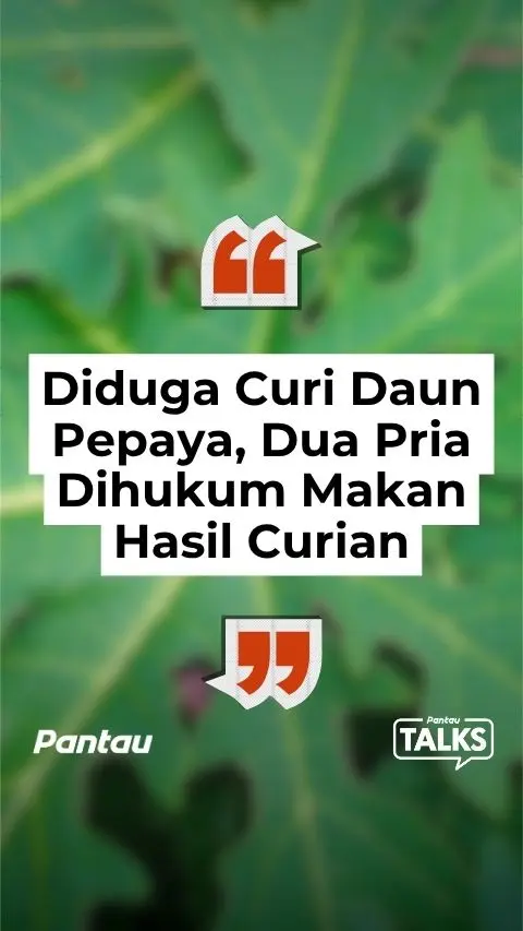DIDUGA CURI DAUN PEPAYA, DUA PRIA DIHUKUM MAKAN HASIL CURIAN