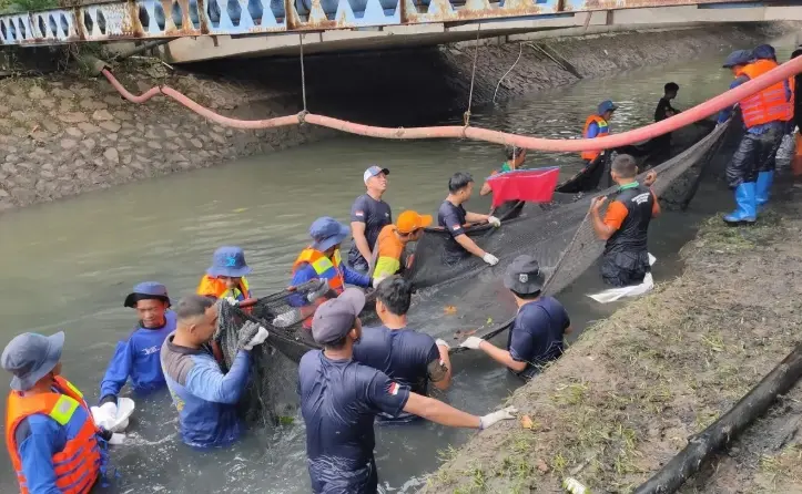 Jakarta Barat Tangkap 1,19 Ton Ikan Sapu-Sapu Sepanjang 2026, Populasi Invasif Ancam Ekosistem Sungai dan Turap