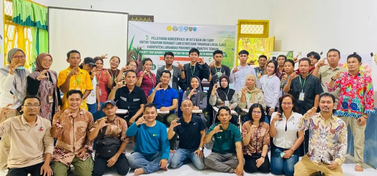 Petani Lamandau Hadapi Tantangan Pelestarian Padi Lokal, Perlu Pendampingan Berkelanjutan