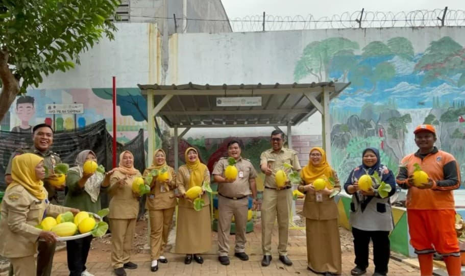 Kelompok Tani Duren Sawit Panen Lebih dari 37 Kilogram Melon Golden Alisha, Hasilnya Dibagikan ke Warga